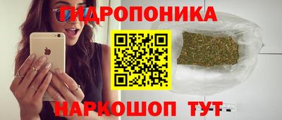 a pvp Гусь-Хрустальный